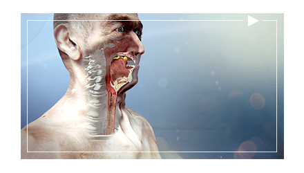 Film 3D – Dysphagie