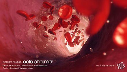 Film 3D – Hématologie