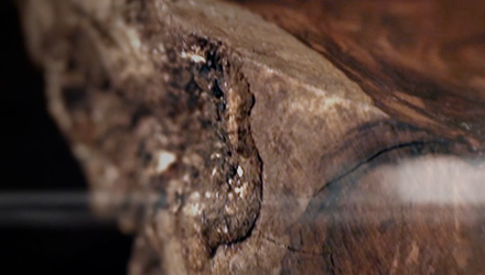 Film – Couteaux arts