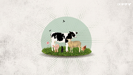 Motion design – OABA
