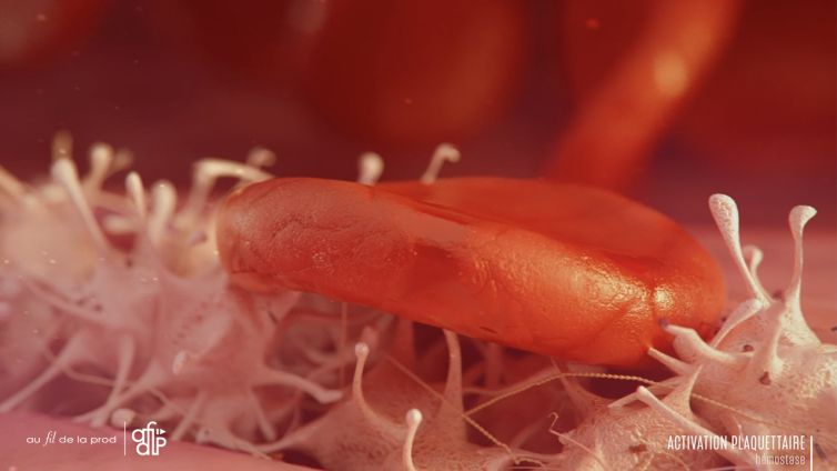 Hémostase [ BA 60sec – animation 3D ]